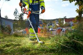 ilustračný obrázok