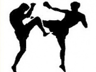 Športový klub Kick - Box Leon Hnúšťa 1